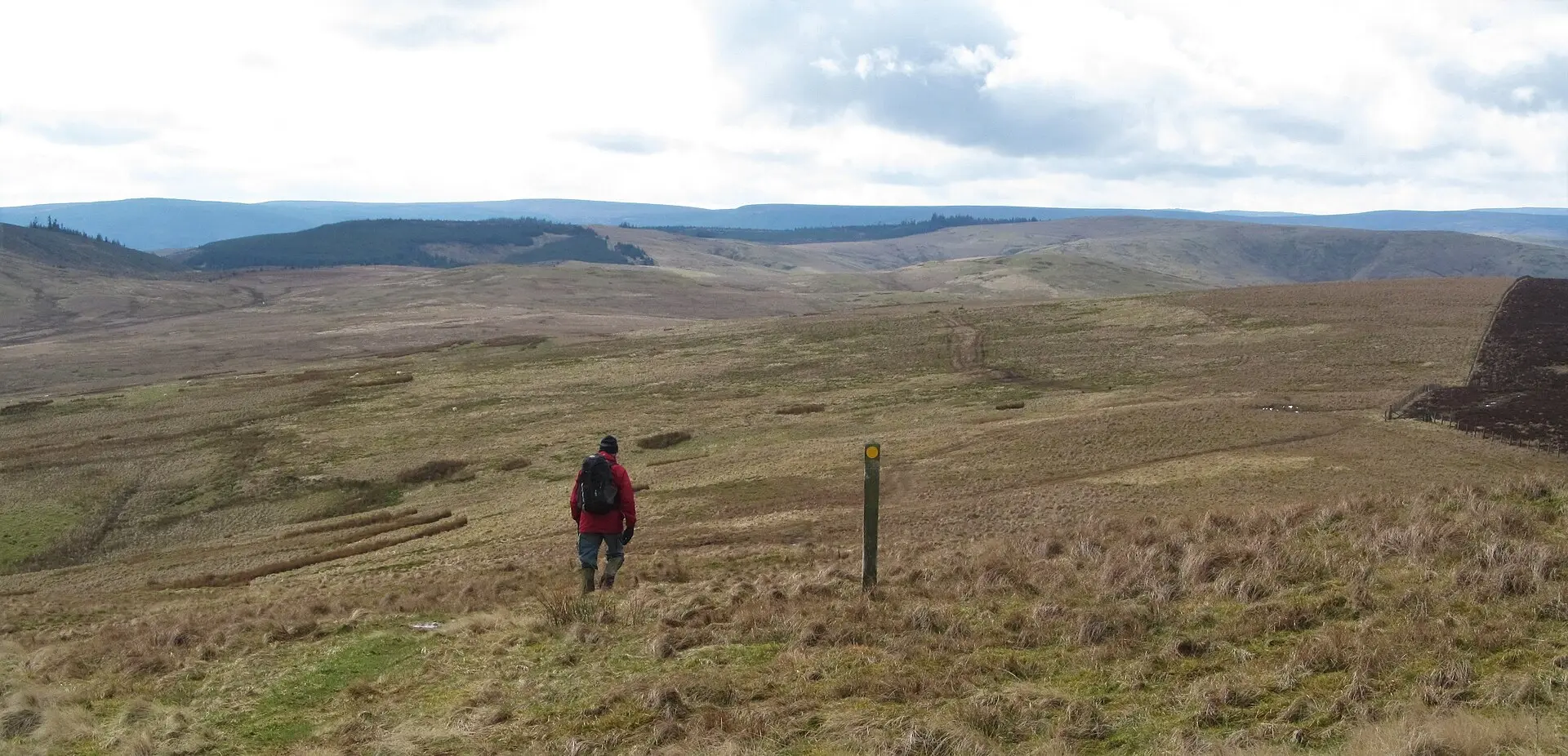 A walker passing a waymarker post on open moorland on Brownhart Law, with hills to the horizon